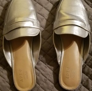 Silver oxford slides